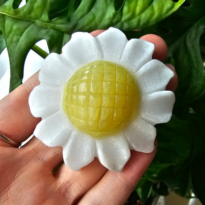 Daisy carving (White Nephrite & Yellow Serpentine) #29A