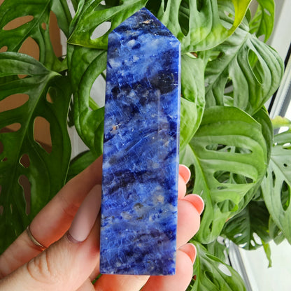 Sodalite obelisk #18D