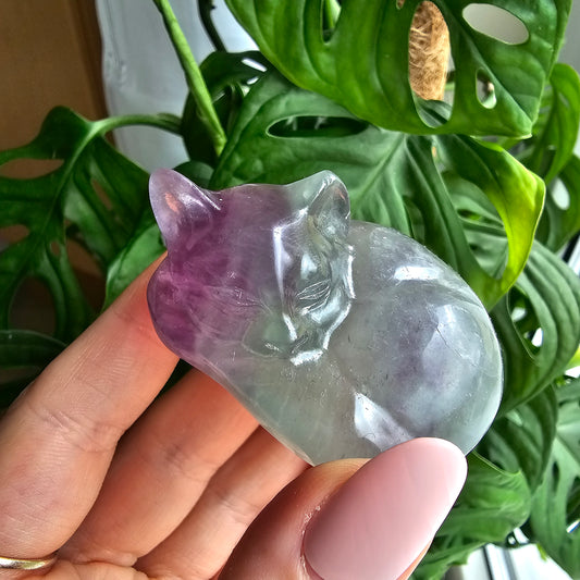 Sleeping Fluorite cat #45A