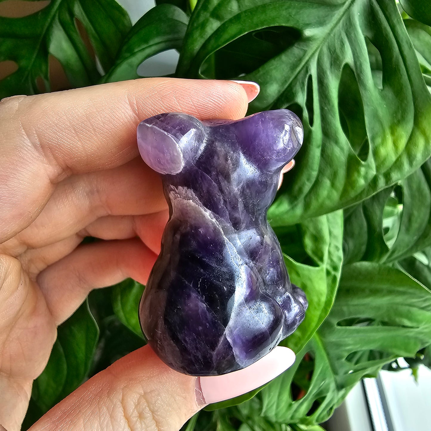 Dream Amethyst Bulldogge #25A