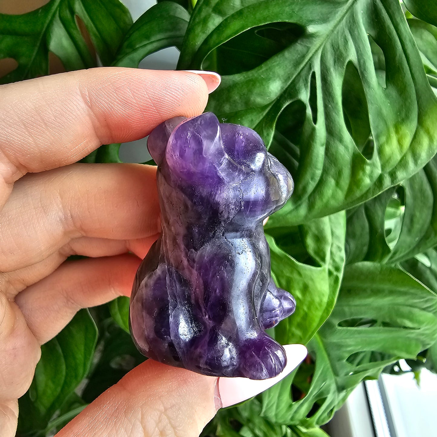 Dream Amethyst Bulldogge #25A