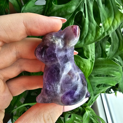 Dream Amethyst bulldog #25B