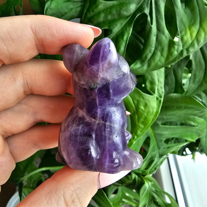 Dream Amethyst bulldog #25B