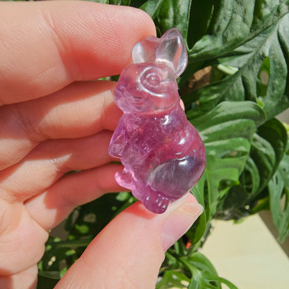 Fluorite bunny #16B