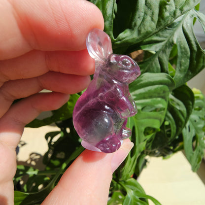 Fluorite bunny #16B