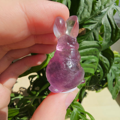 Fluorite bunny #16B