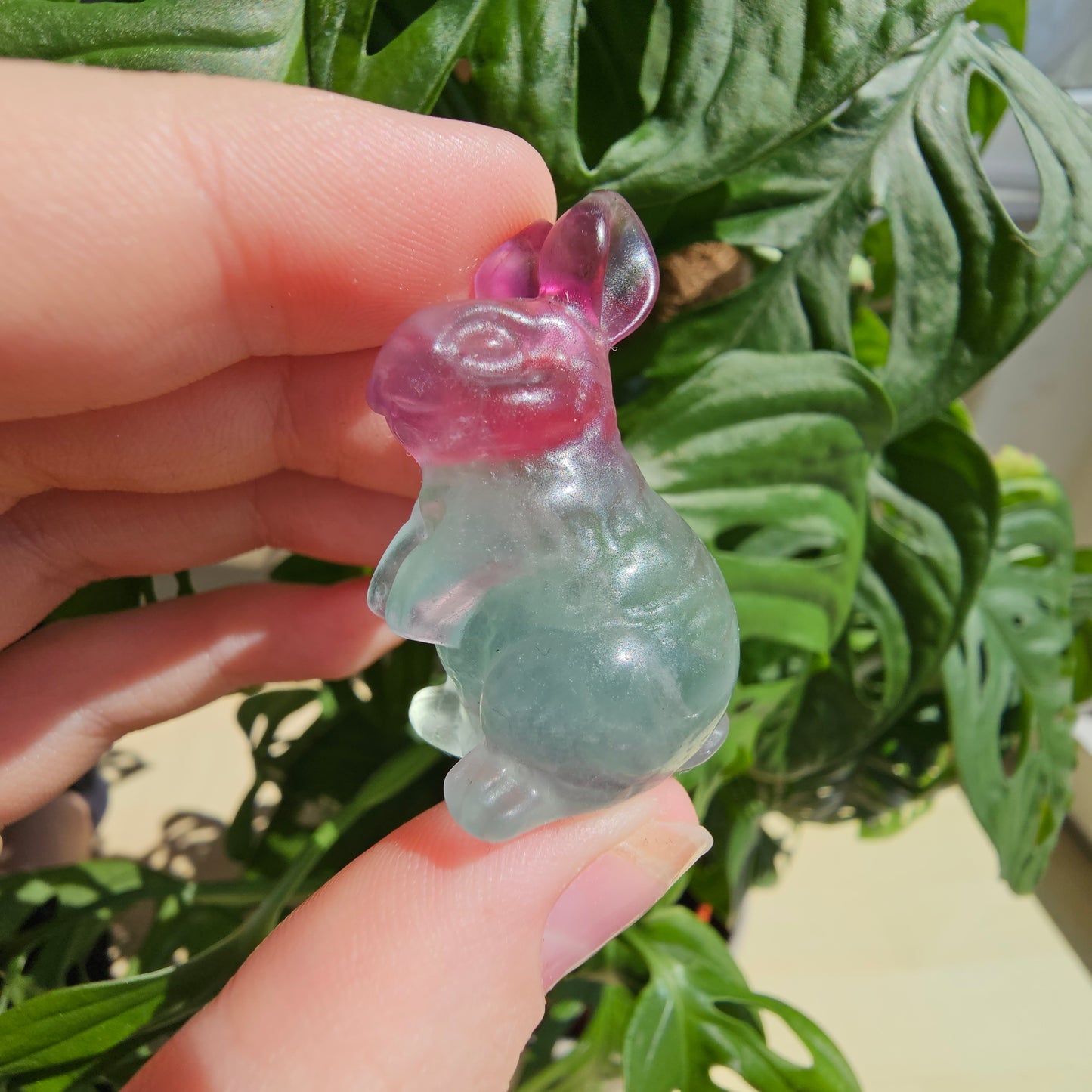 Fluorite bunny #16C