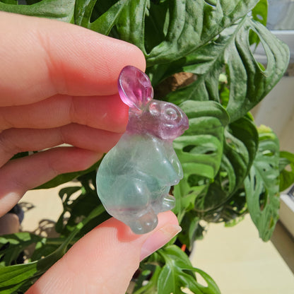 Fluorite bunny #16C