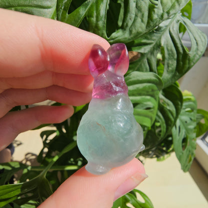 Fluorite bunny #16C