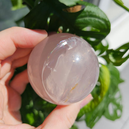 Star Rose Quartz sphere #75C