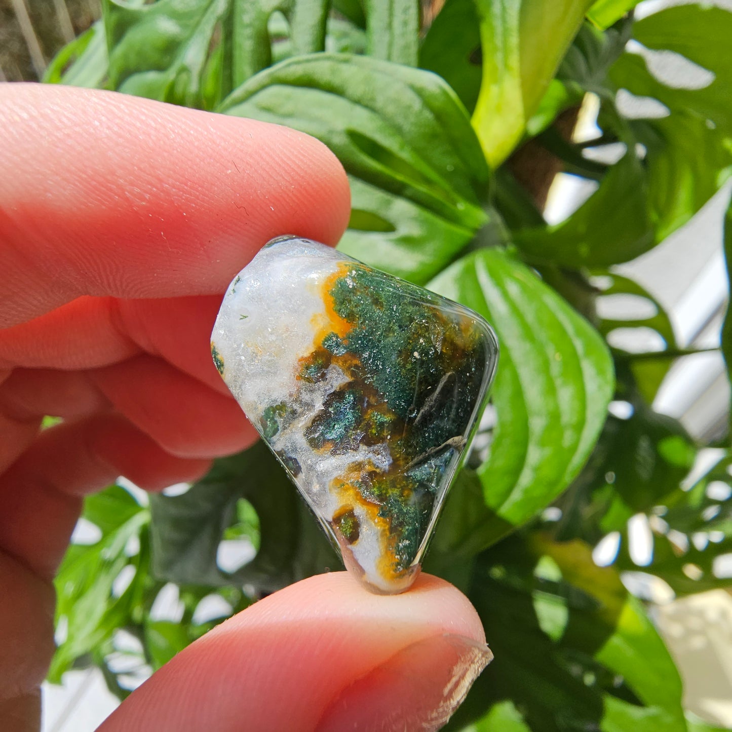 Moss Agate tumble