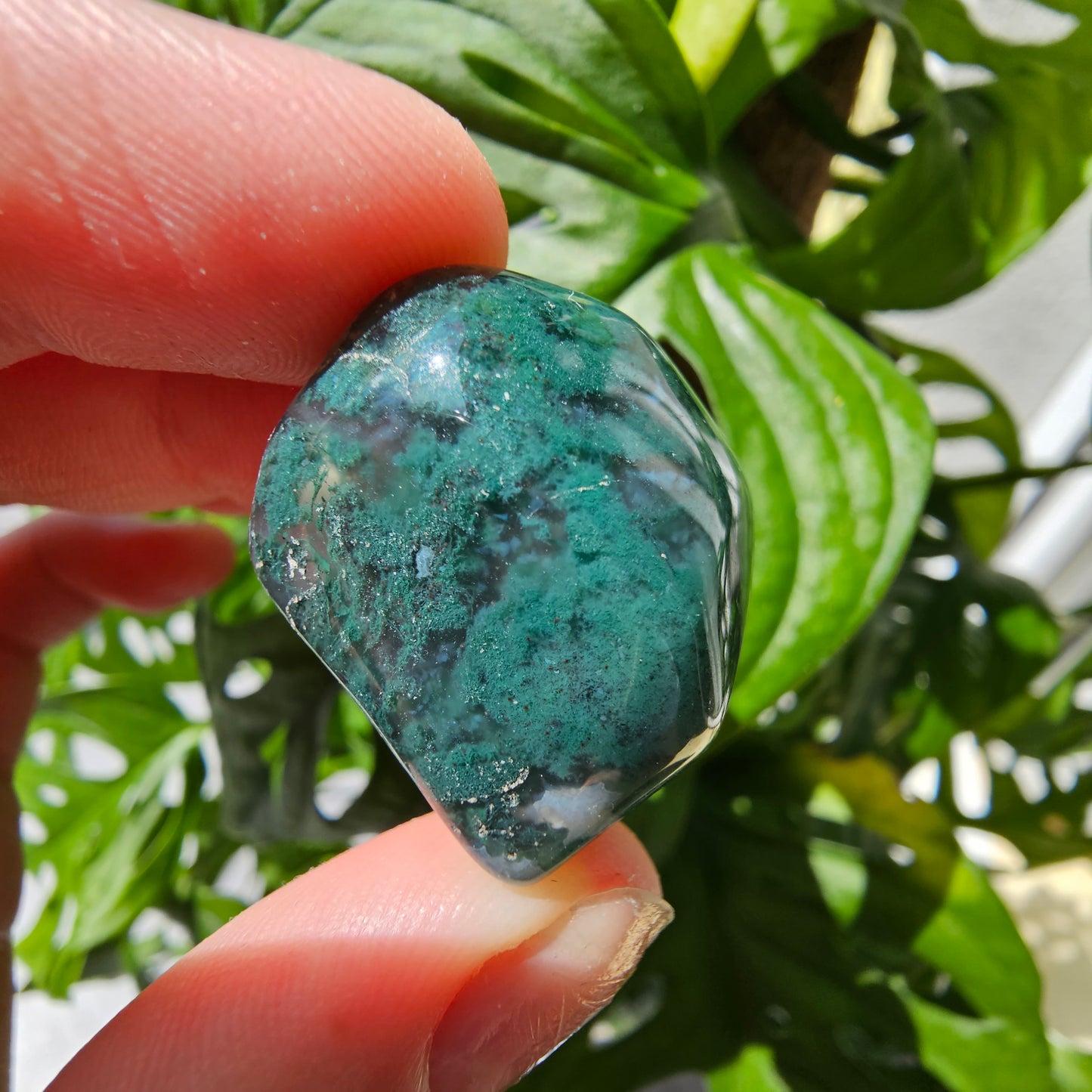 Moss Agate tumble