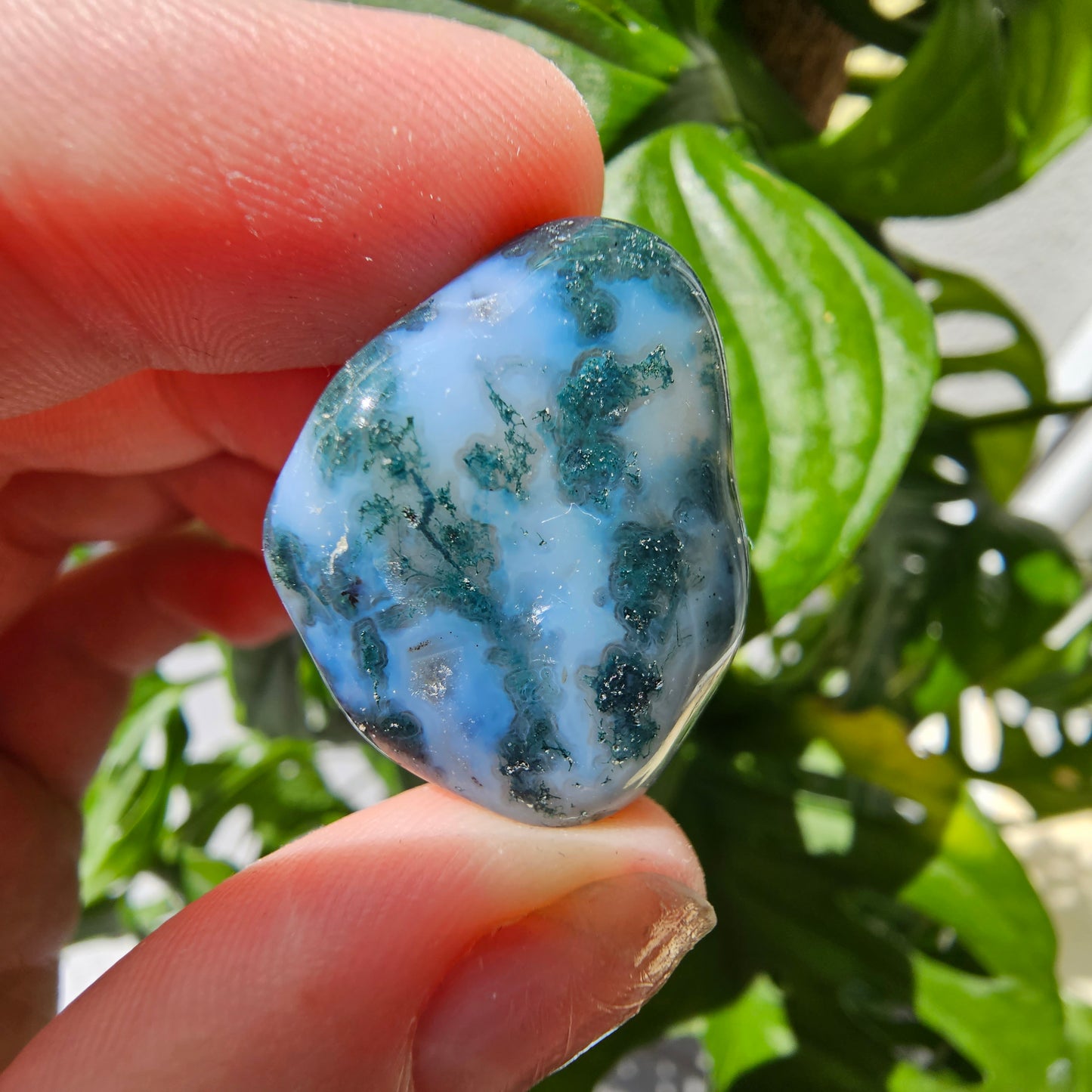 Moss Agate tumble