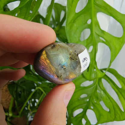 Labradorite Heart #8B