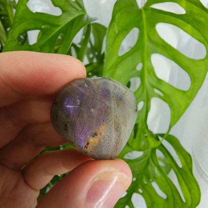 Labradorite Heart #5K