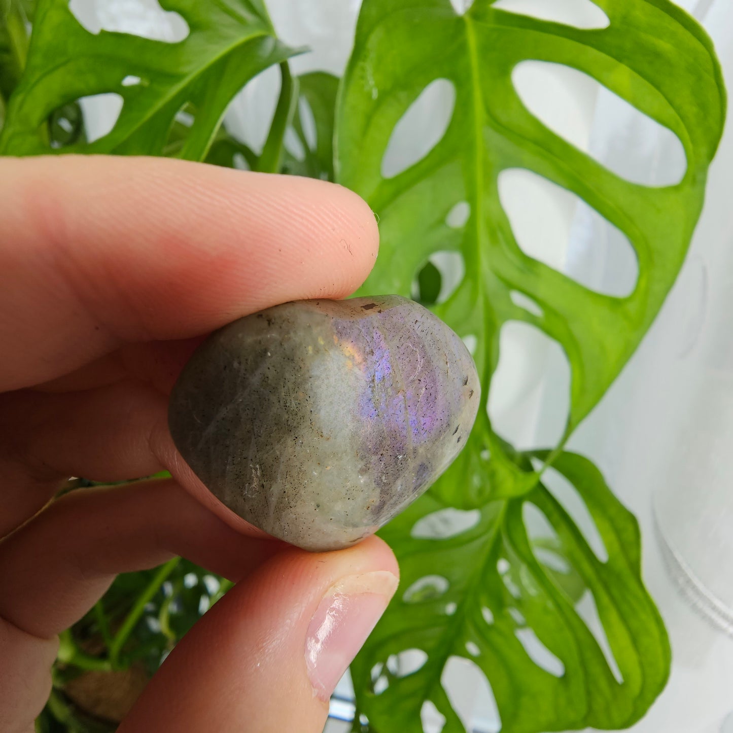 Labradorite Heart #5K