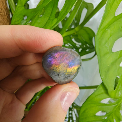 Labradorite Heart #5V