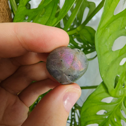 Labradorite Heart #5V