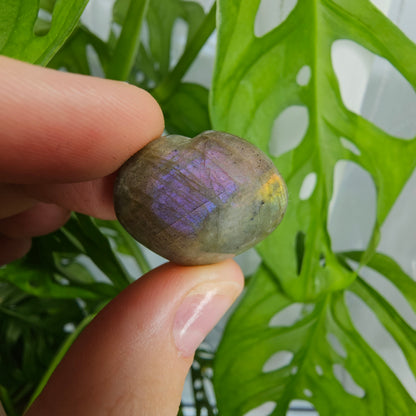 Labradorite Heart #4f