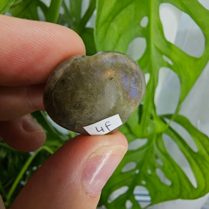 Labradorite Heart #4f