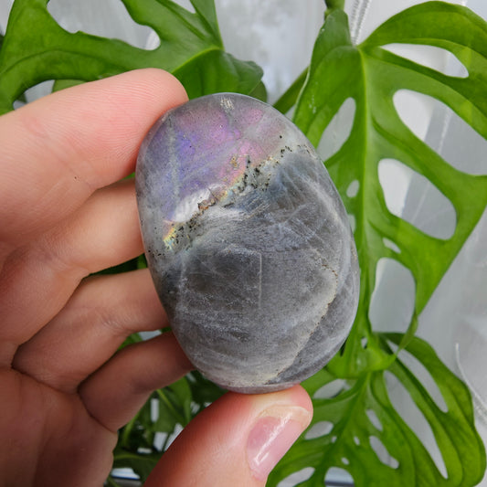 Labradorite Palmstone #9A