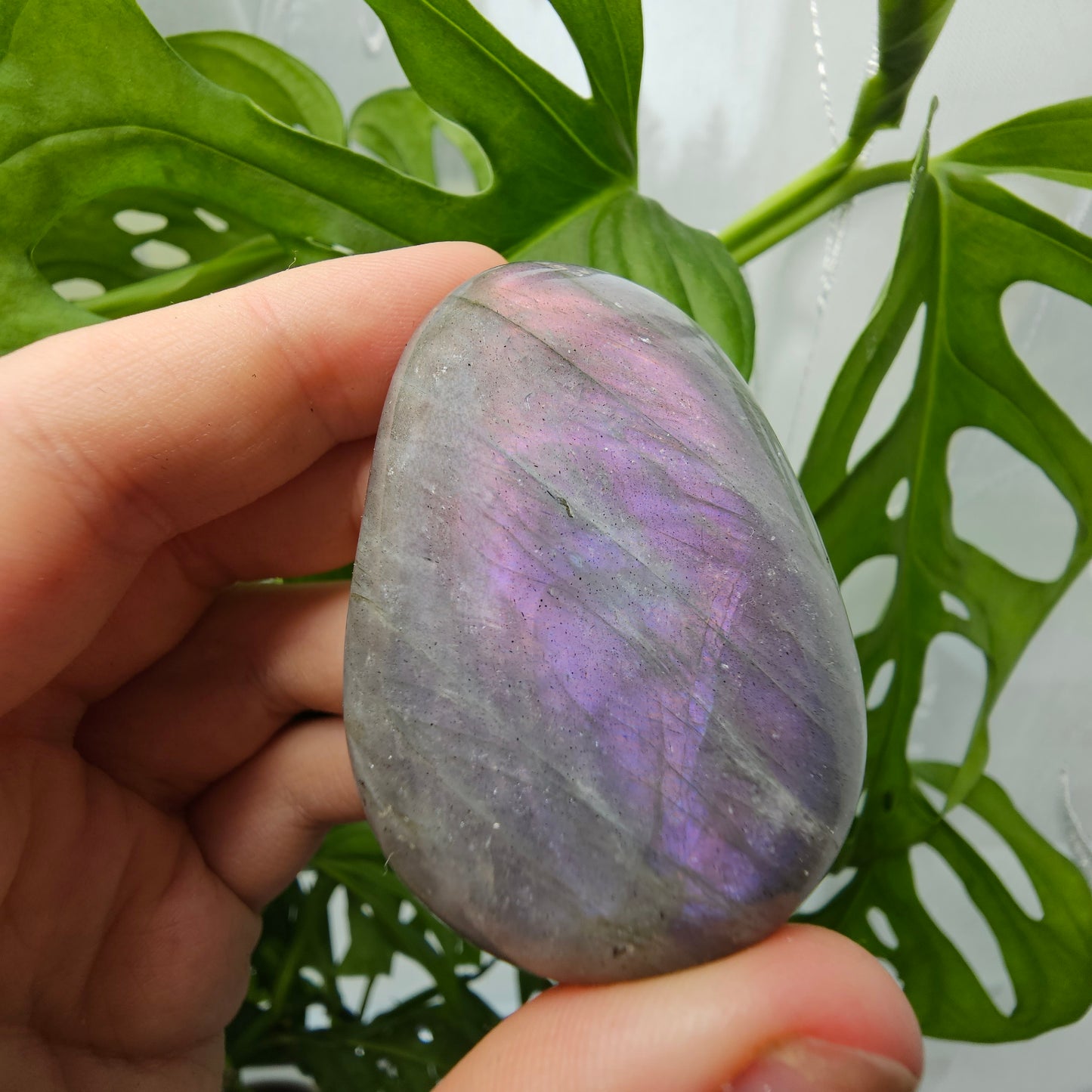 Labradorite Palmstone #11G