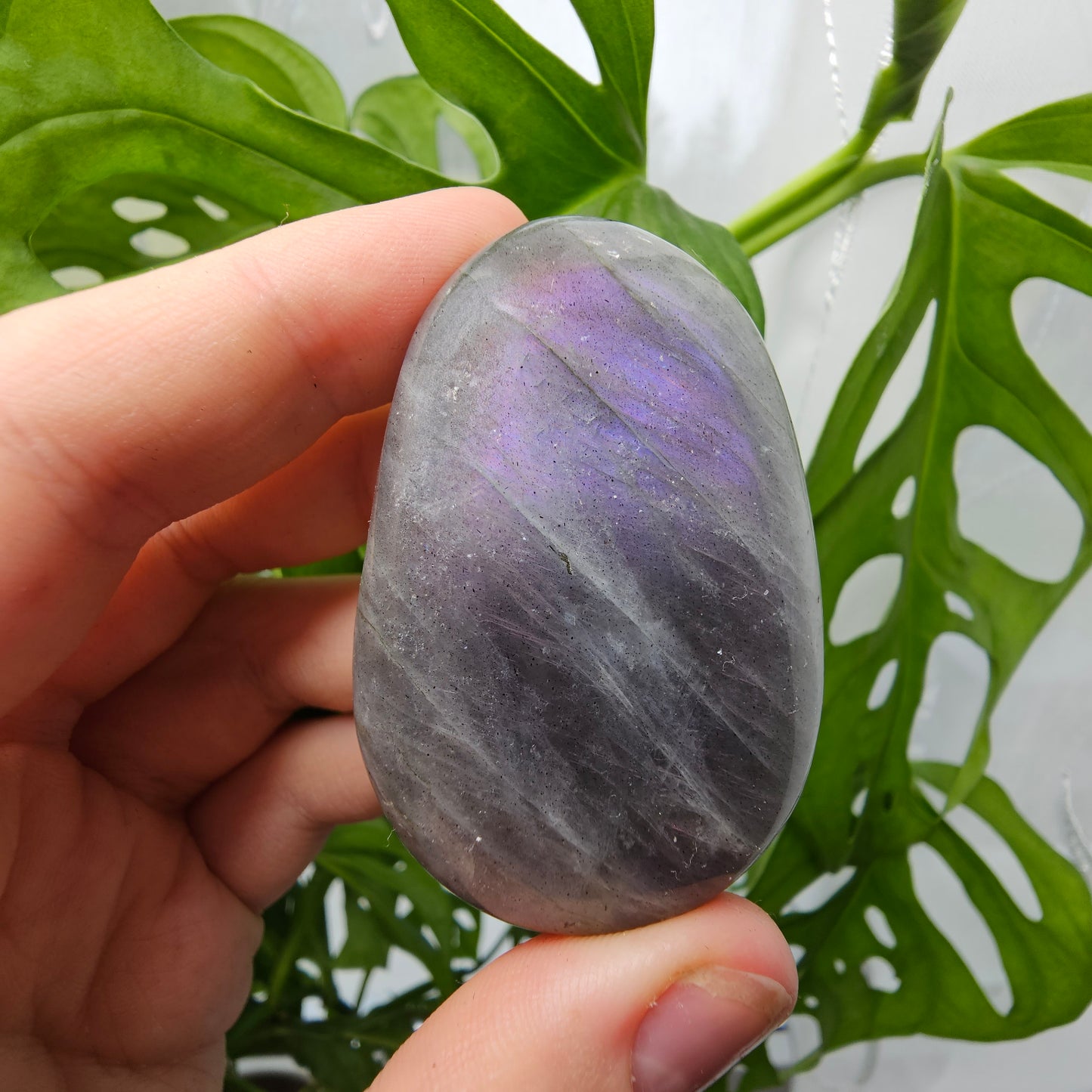 Labradorite Palmstone #11G