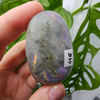 Labradorite Palmstone #11G