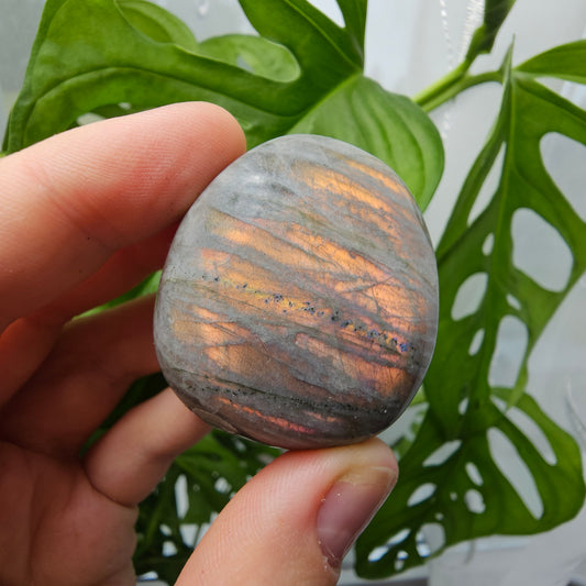 Labradorite Palmstone #10o