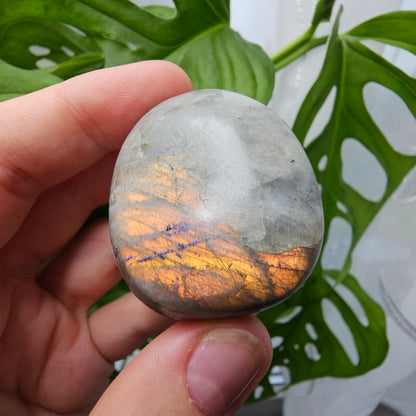 Labradorite Palmstone #10o