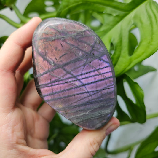 Purple Labradorite Freeform #35M