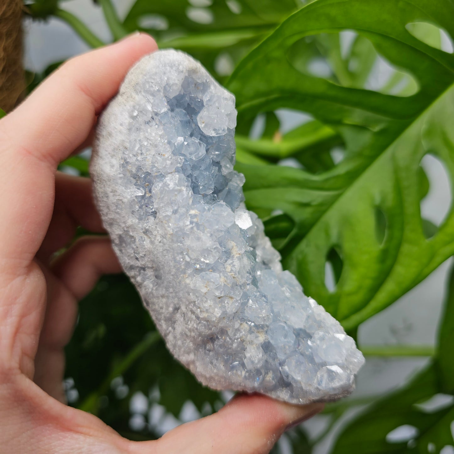 Celestite Cluster #35B