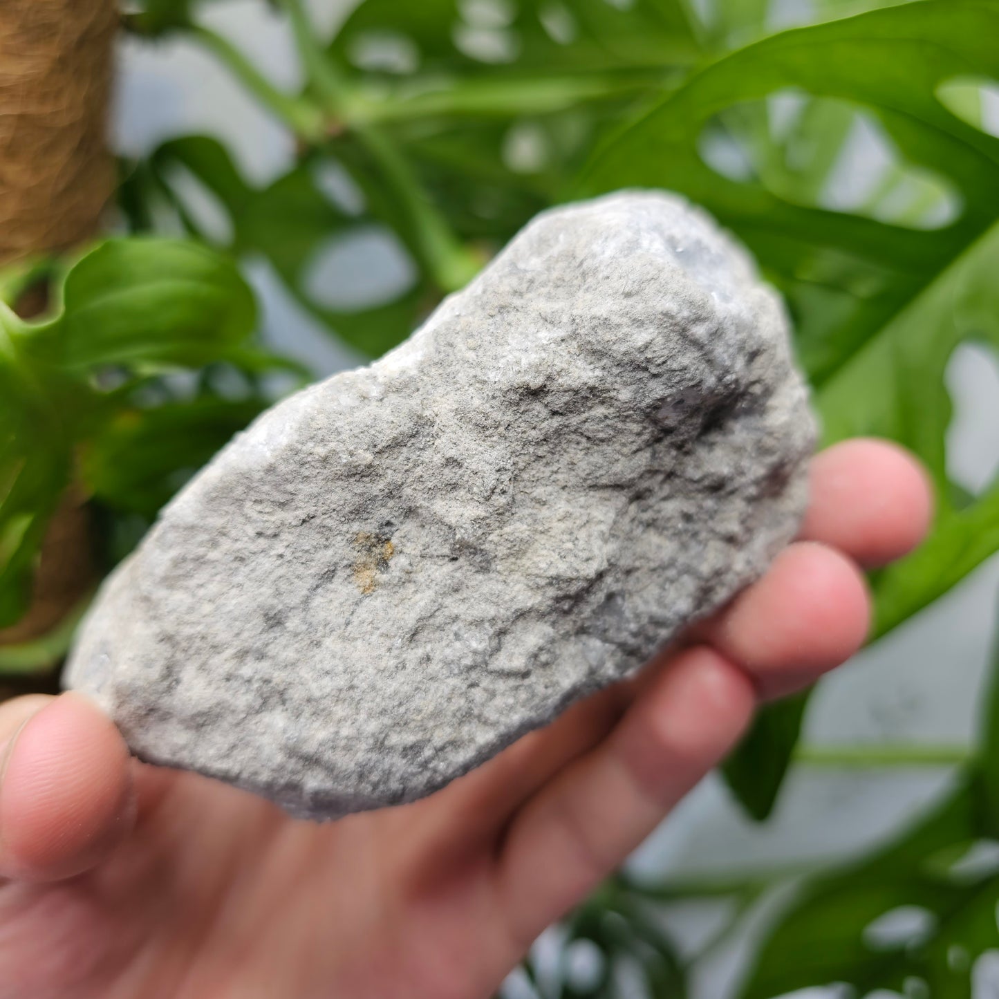 Celestite Cluster #35B