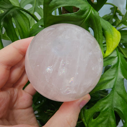 Star Rose Quartz Sphere #69R