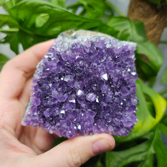 Extra Quality Amethyst Cluster #39D