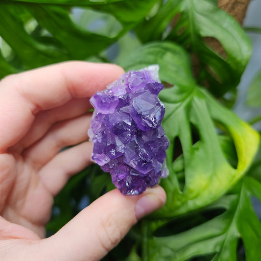 Extra Quality Amethyst Cluster #12A