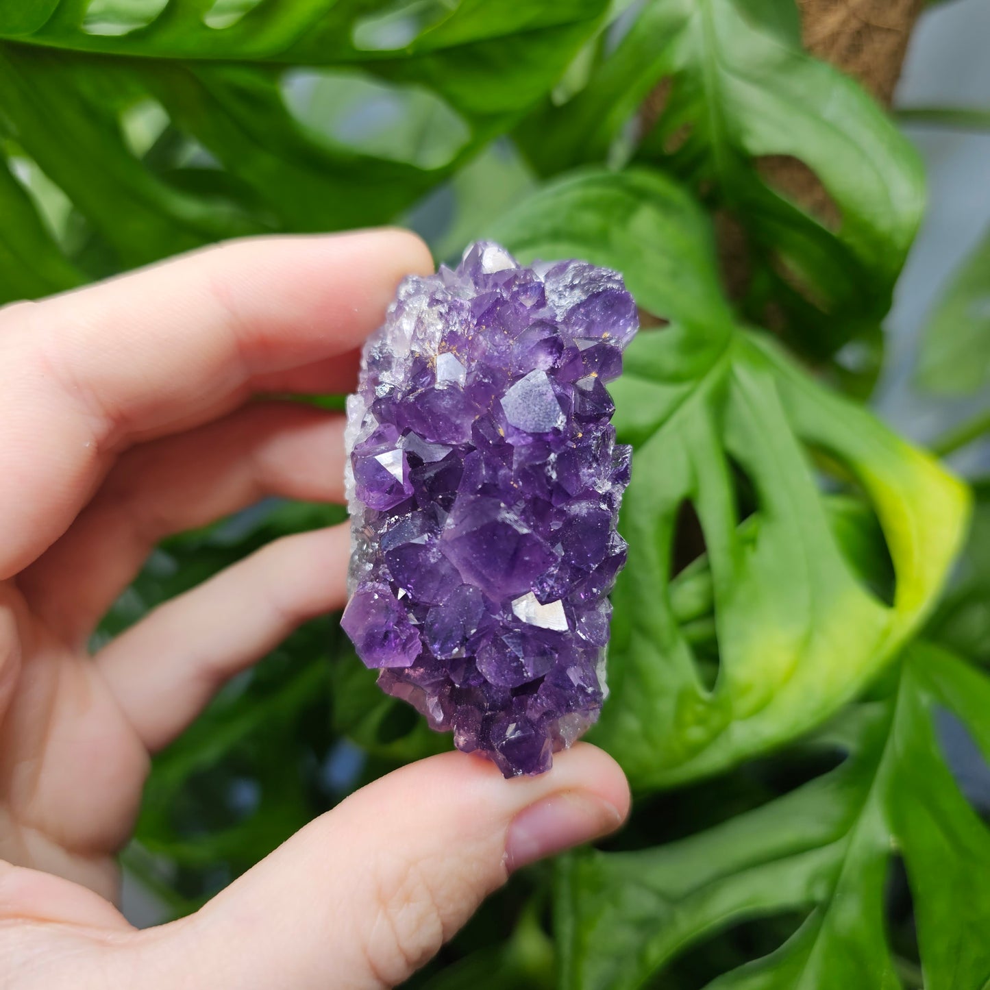 Extra Qualität Amethyst Stufe #15B