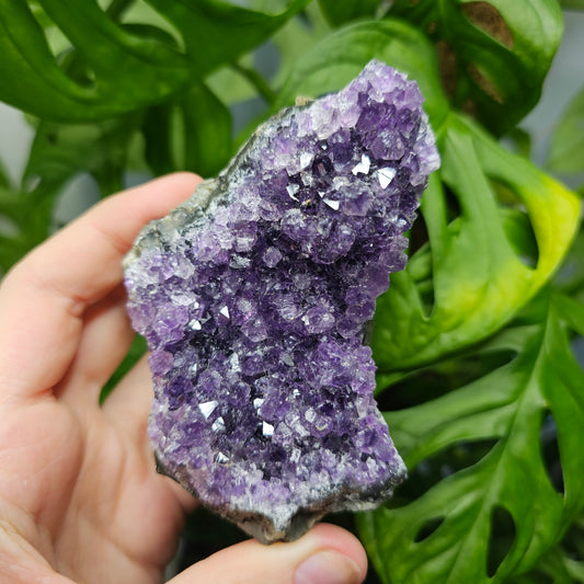 Extra Quality Amethyst Cluster #32E