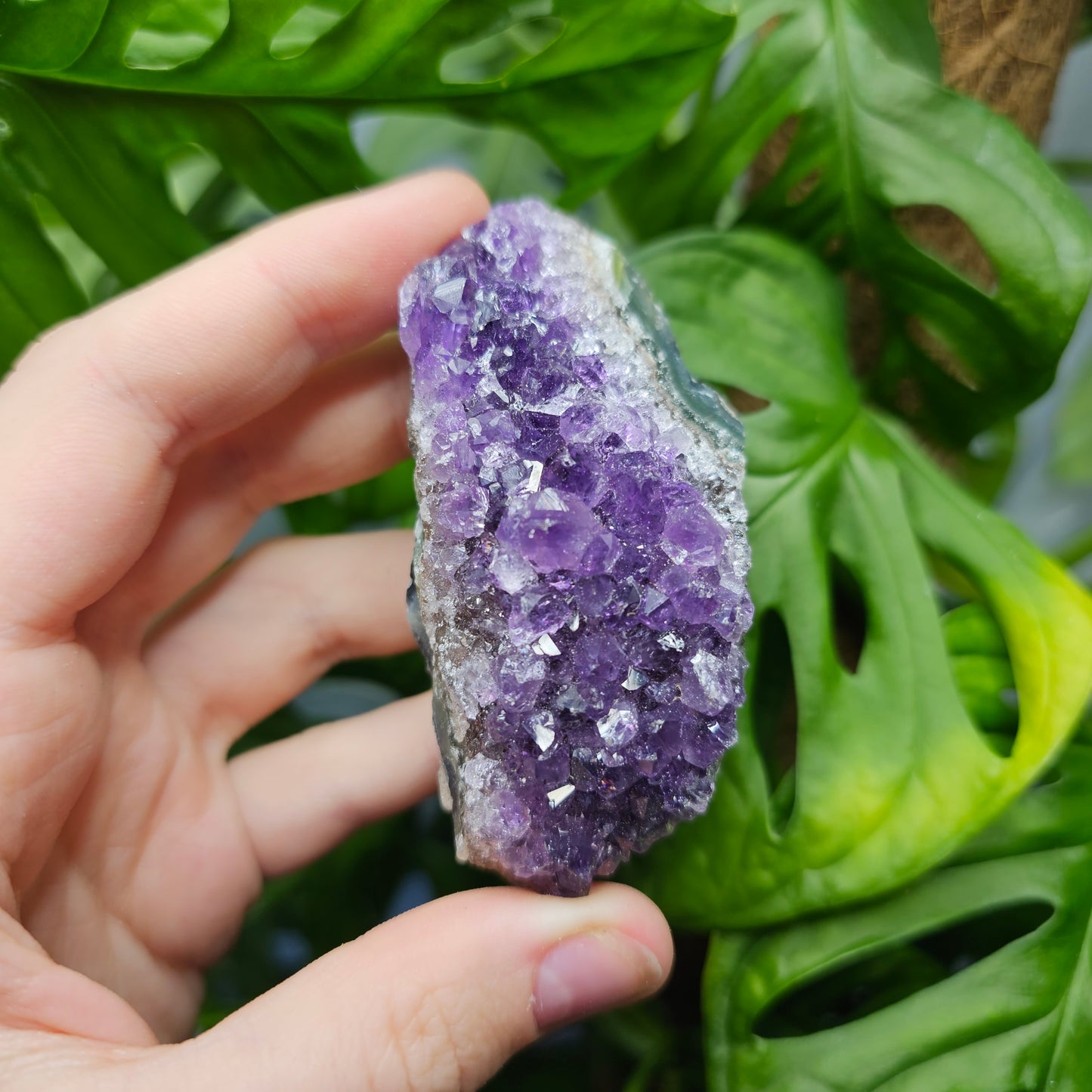 Extra Qualität Amethyst Stufe #15G