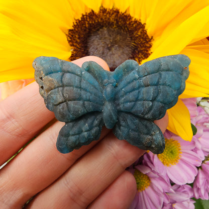 Apatite Butterfly #12B