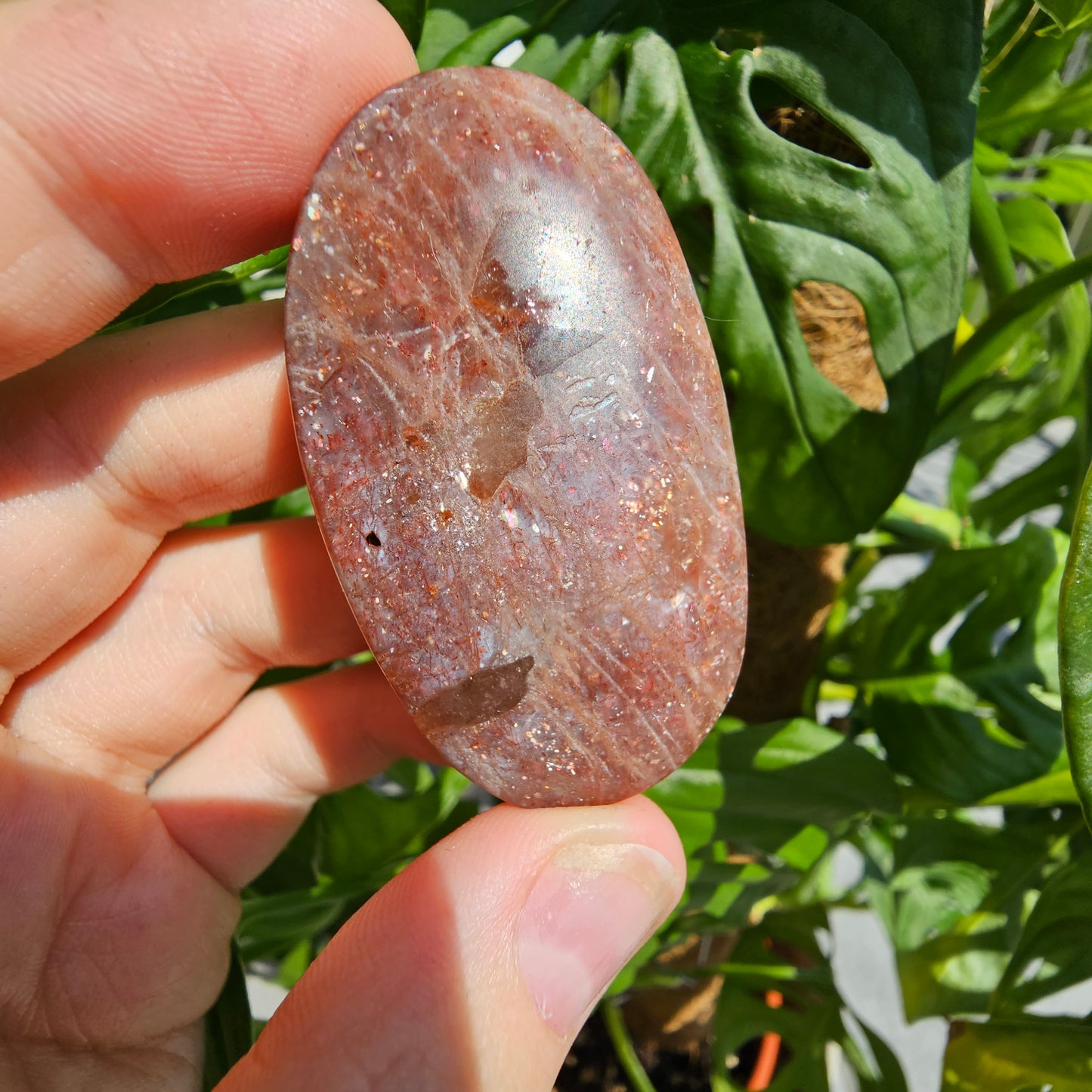 High Quality Sunstone Palmstone #34B