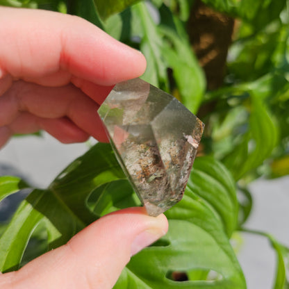 Lodolite/Garden Quartz Freeform #15A