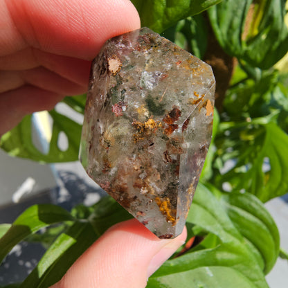 Lodolite/Garden Quartz Freeform #18B