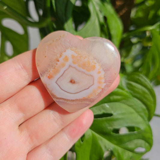 Flower Agate Heart #12B