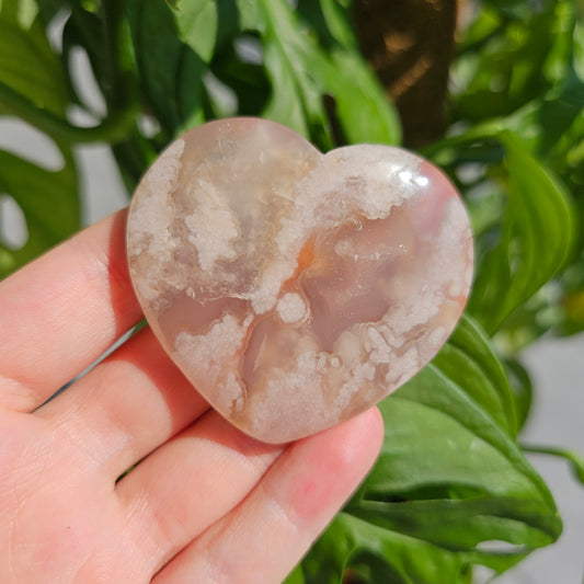 Flower Agate Heart #12D