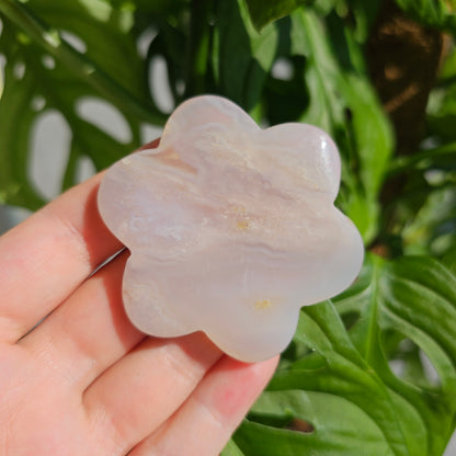 Flower Agate Flower #12A