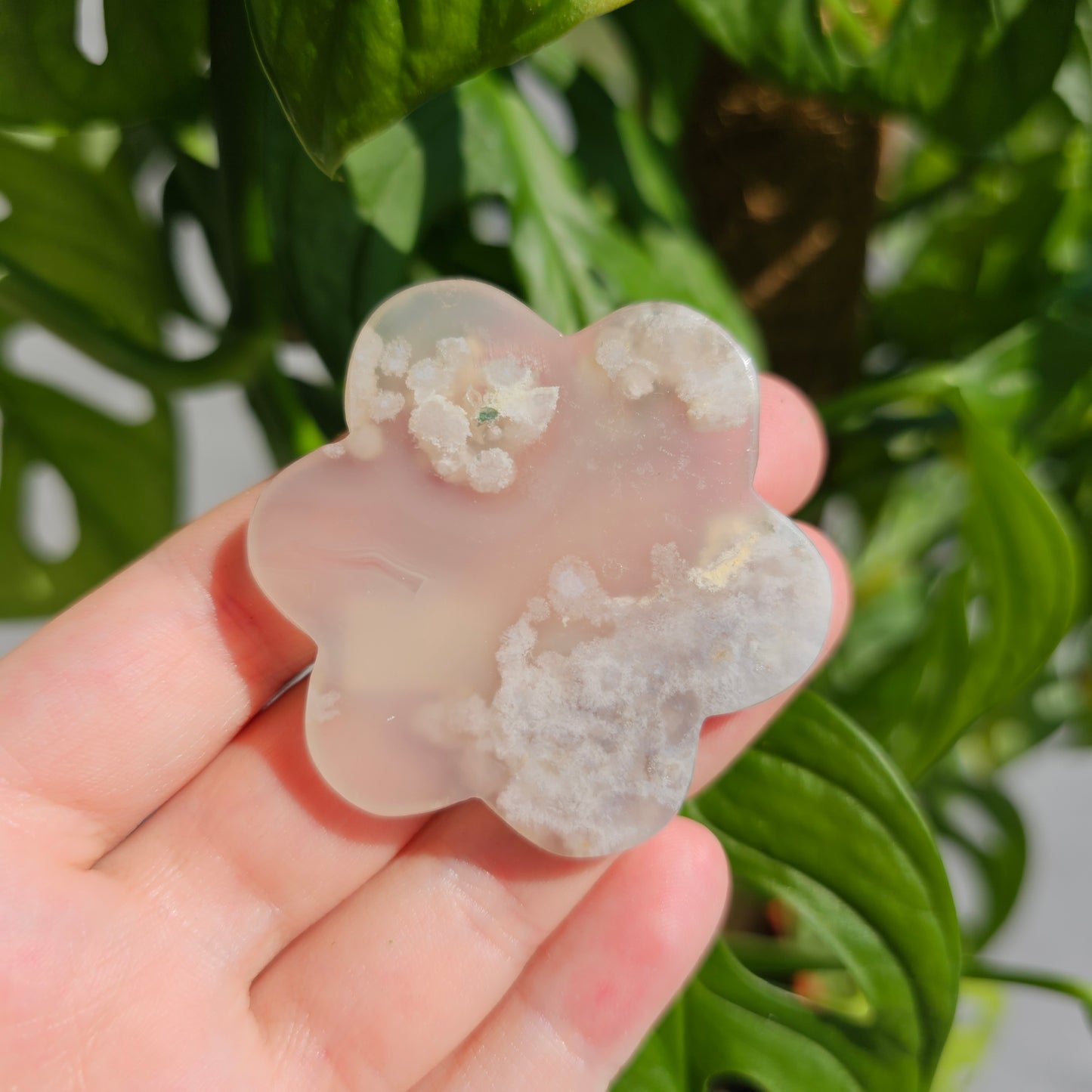 Flower Agate Flower #12B