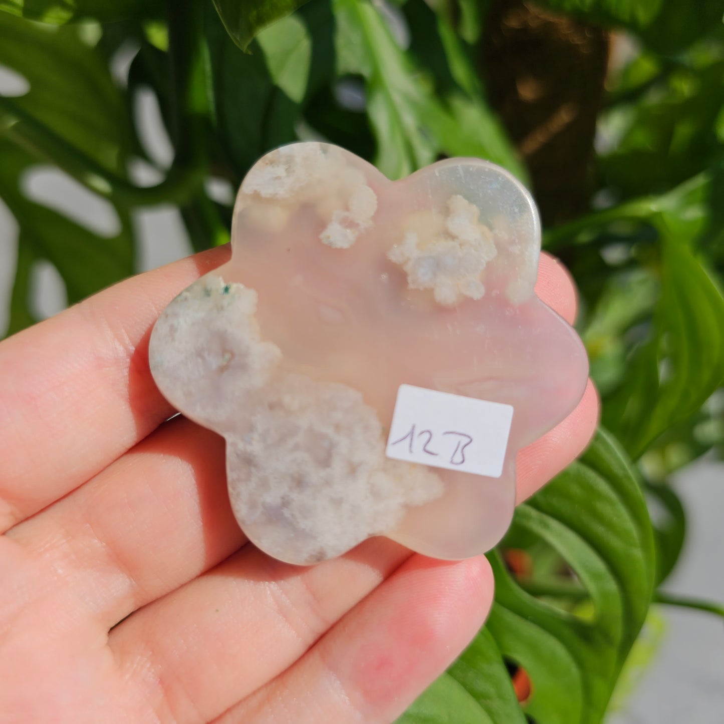 Flower Agate Flower #12B