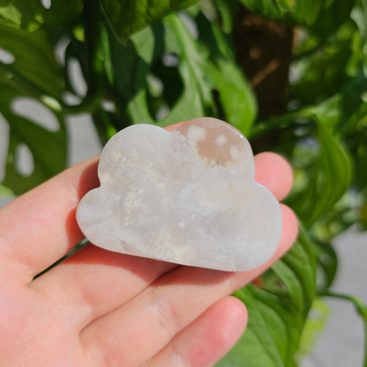 Flower Agate Cloud #12A