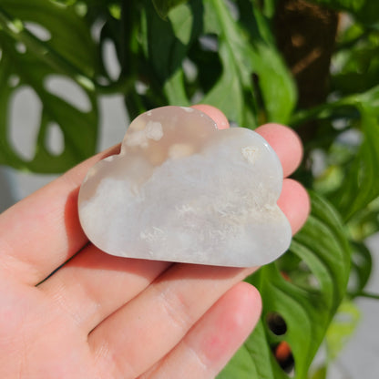 Flower Agate Cloud #12A